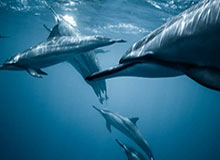 詹姆斯成都行冒雨问好球迷：你好成都 I love you！